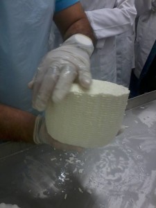Hard cheese in the make