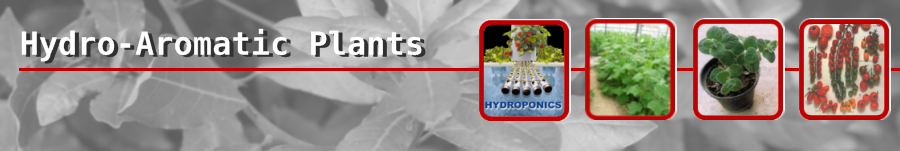 Hydro-Aromatic Plants