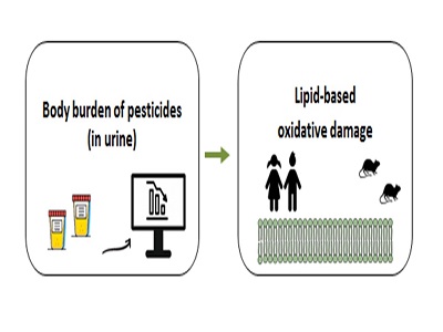 Oxidative stress of glyphosate, AMPA and metabolites of pyrethroids and chlorpyrifos pesticides among primary school children in Cyprus